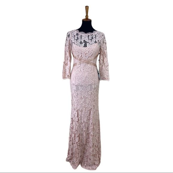 Adrianna Papell Blush Lace Gown - Picture 4 of 6